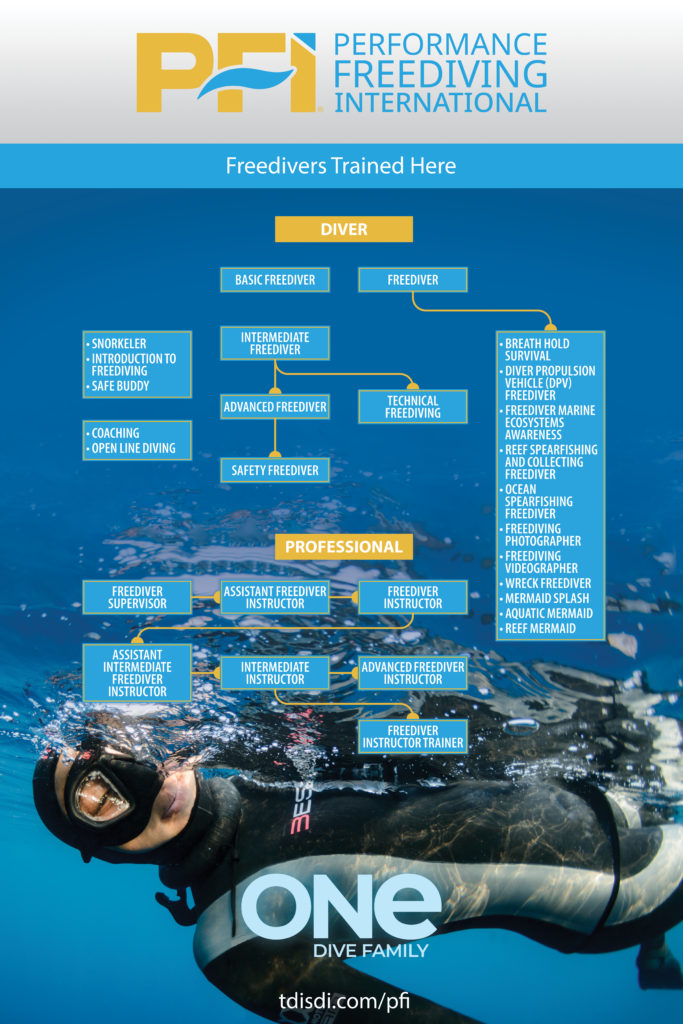 poster 24x36 pfi v1222