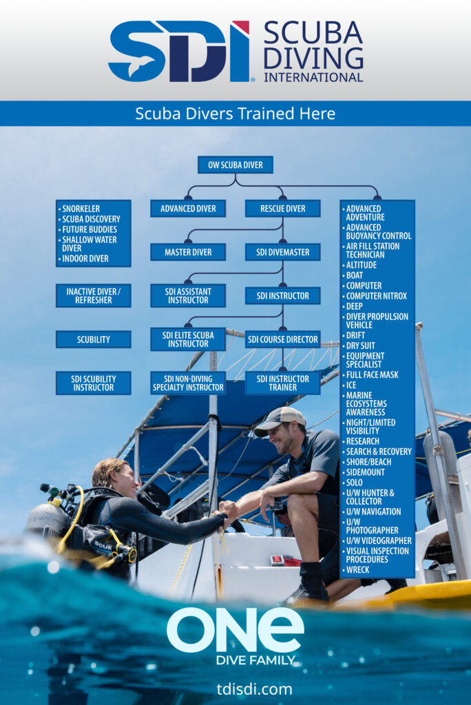 printable sdi course flowchart poster