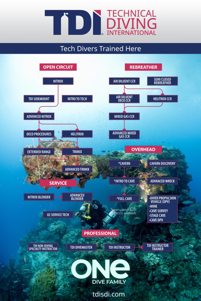 printable tdi course flowchart poster