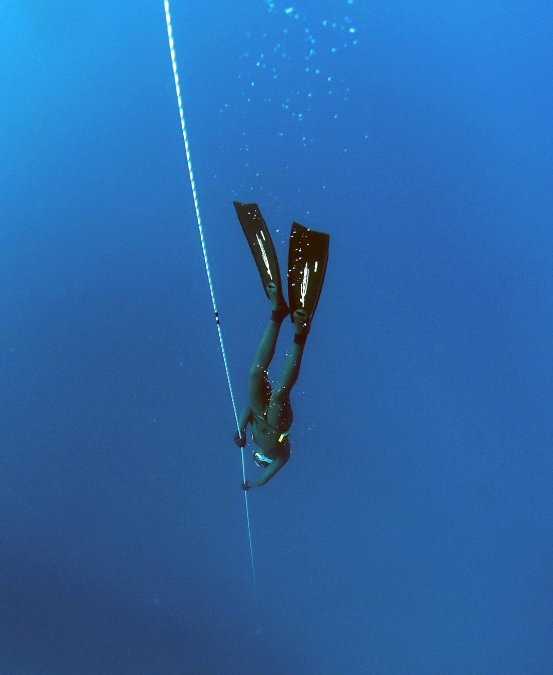 freediving, deep, underwater, water, nature, diver, depth, sport, freediver, apnea, marine, ocean, sea, body, wetsuit, breathless, fin, swimming, wet, tropical, diving, blue, aqua, extreme, blue sports, blue body