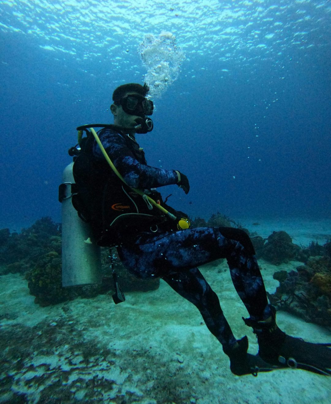 Experience the thrill of scuba diving in the vibrant Cozumel waters.