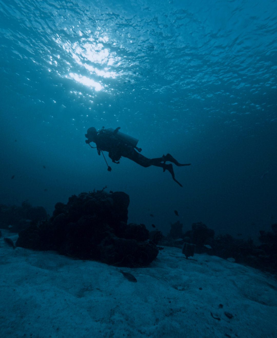 A silhouette of a scuba diver exploring the seabed underwater in San Miguel de Cozumel, Mexico.