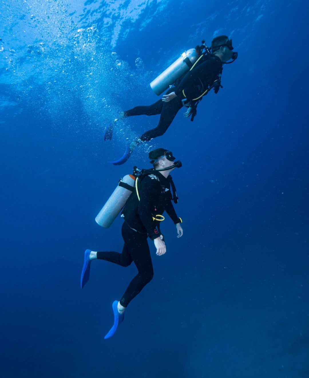 Two scuba divers explore the vibrant underwater world off Isla Mujeres, Mexico.