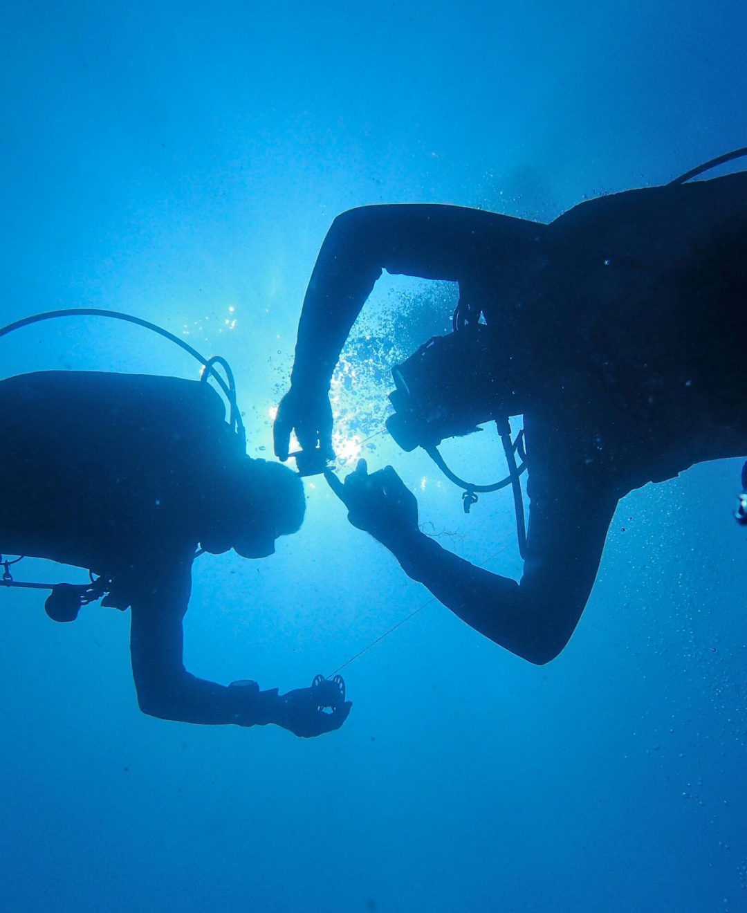 Silhouette of two scuba divers sharing a moment underwater in a bright blue ocean scene.