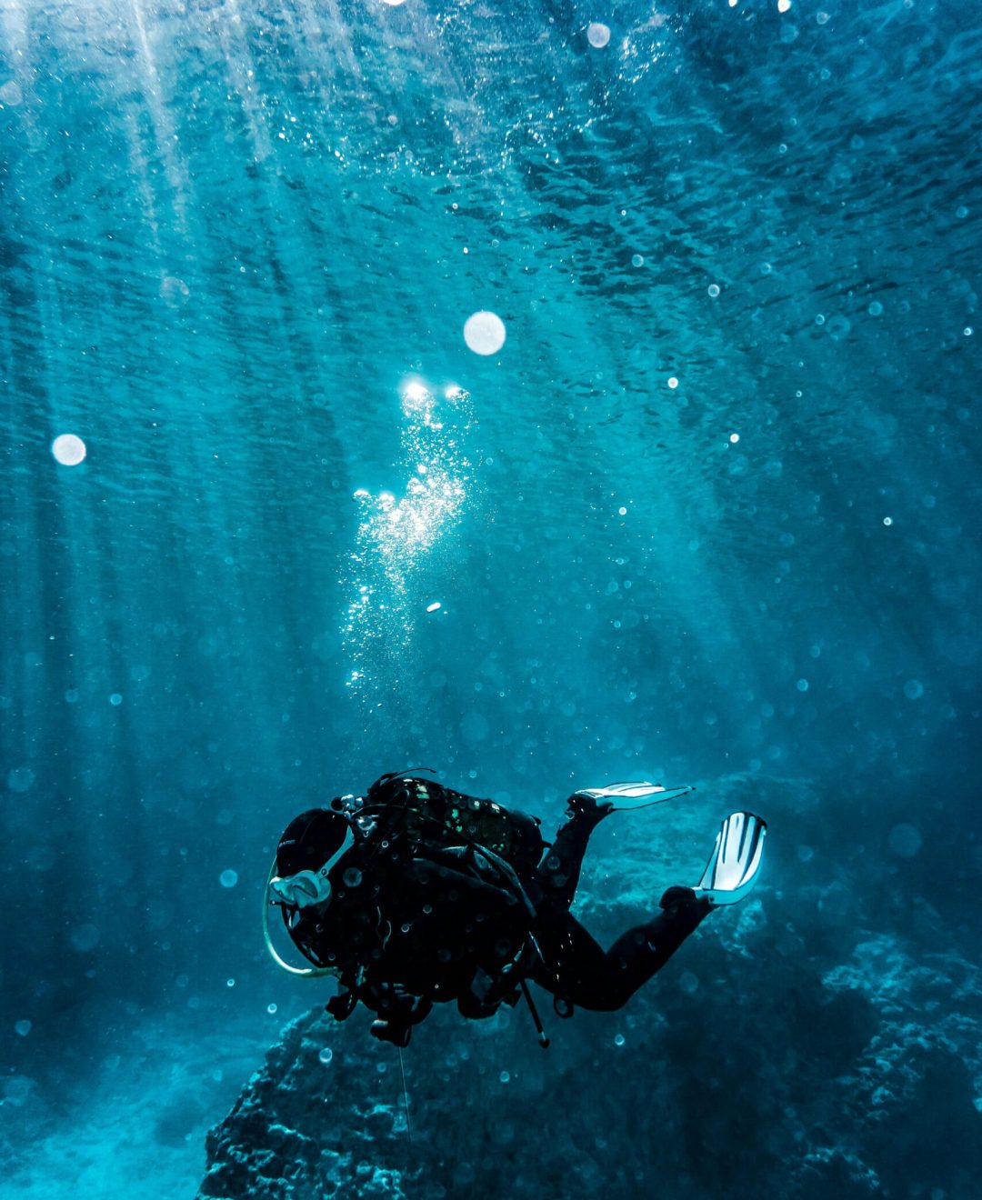 Scuba diver exploring underwater reef in vibrant turquoise waters, capturing marine life beauty.