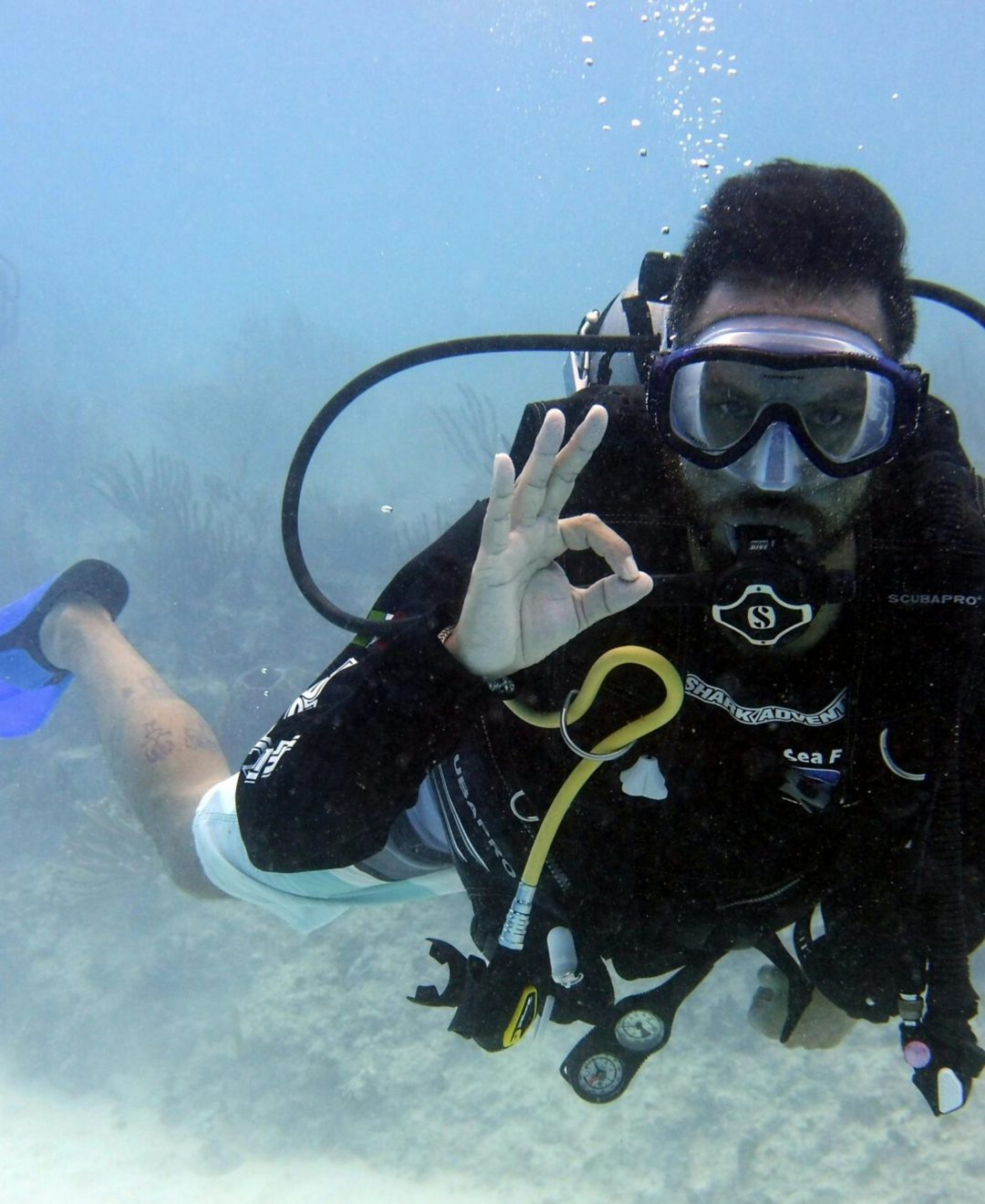 Scuba diver underwater making an okay sign while exploring the seabed with corals.